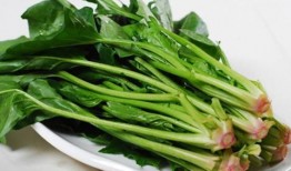 菠菜最新爆料新闻,揭秘娱乐圈惊人内幕